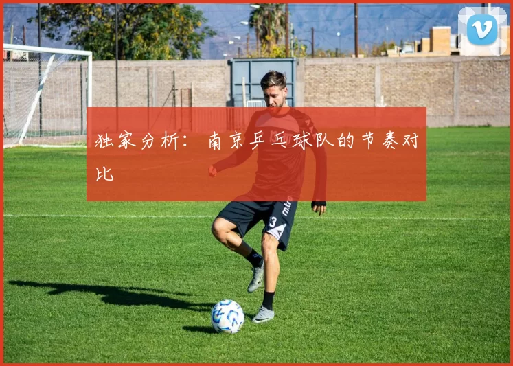 独家分析：南京乒乓球队的节奏对比