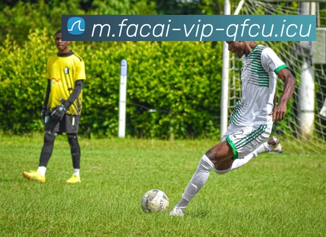 九游体育注册服务体系